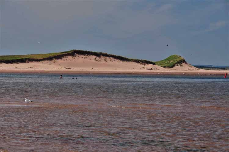 beach and coastline